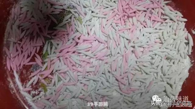 冬至的别称:冬至佳节，探寻游戏中冬节的别样风情