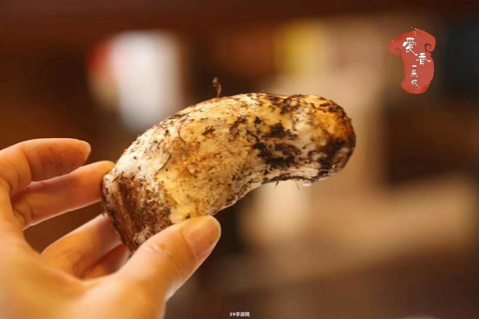 姬松茸原产地:探寻姬松茸故乡，解锁游戏中的神秘食材之旅