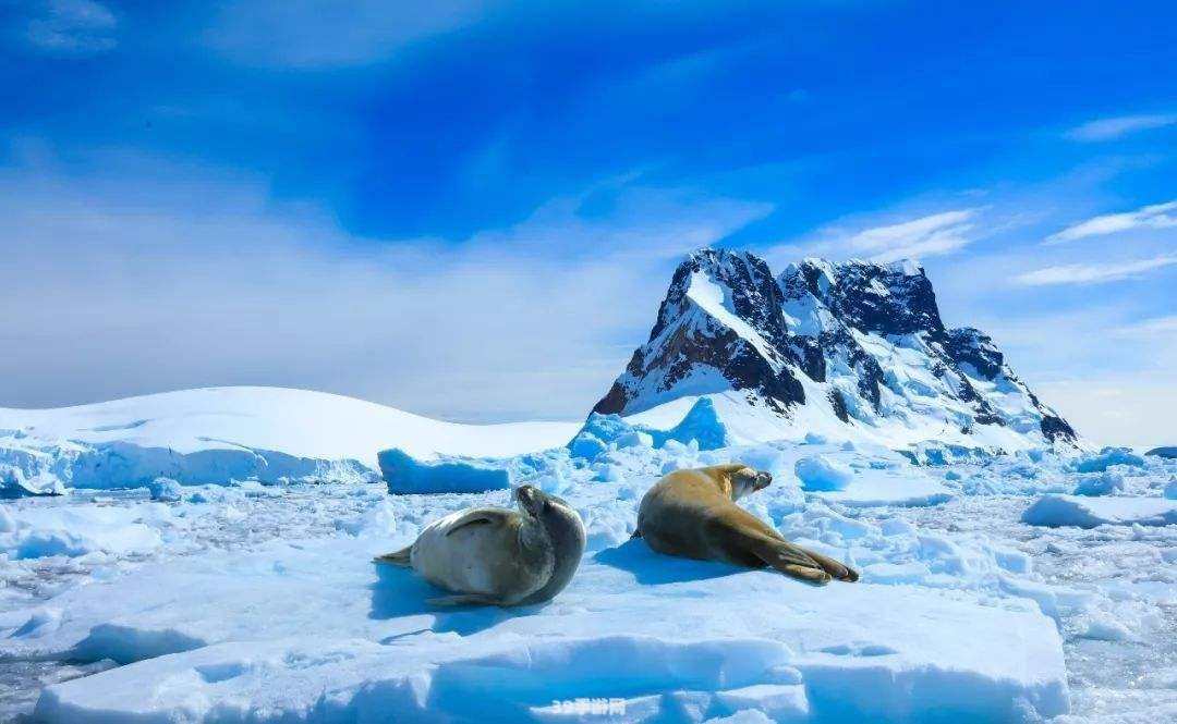 南极最冷的月份:南极最冷的月份探秘：穿越冰雪的游戏世界攻略