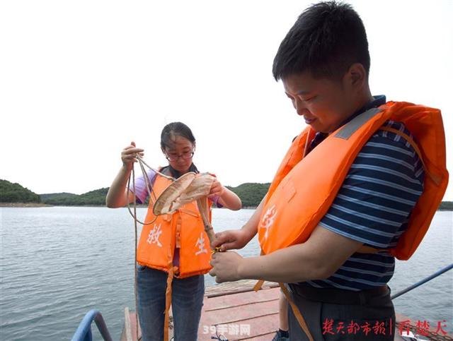 探秘“水上大熊猫”——珍稀水生生物的游戏世界攻略