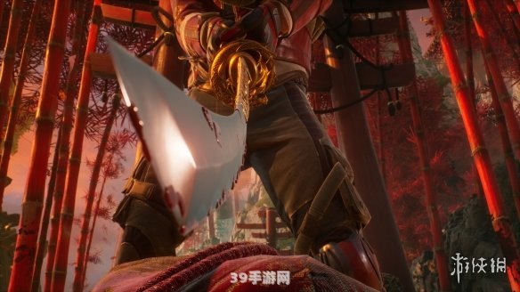 影子武士中文版:影子武士中文版游戏攻略：深入解析五大核心要素