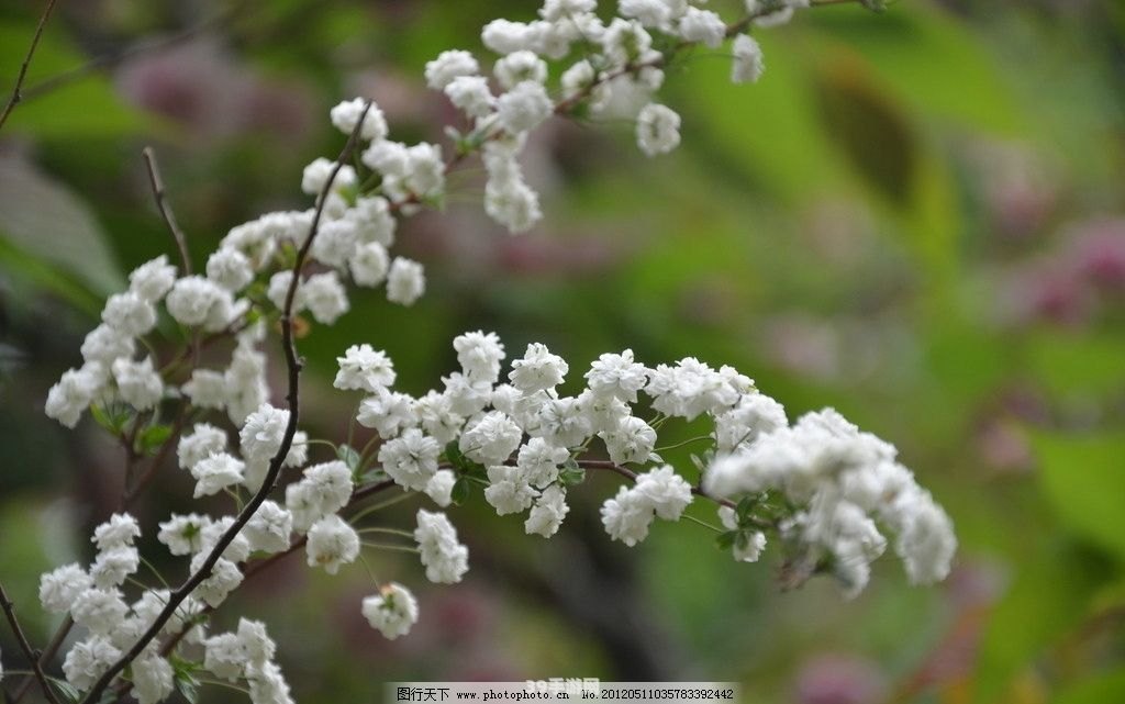 笑魇如花的魇是指:探寻“笑魇如花”中的神秘“魇”，解锁游戏新境界