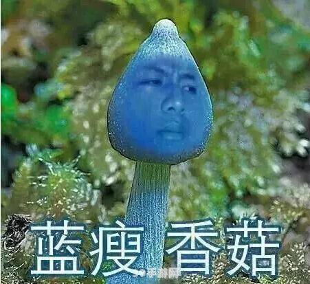 蓝瘦香菇来袭！手游玩法全解析与攻略宝典