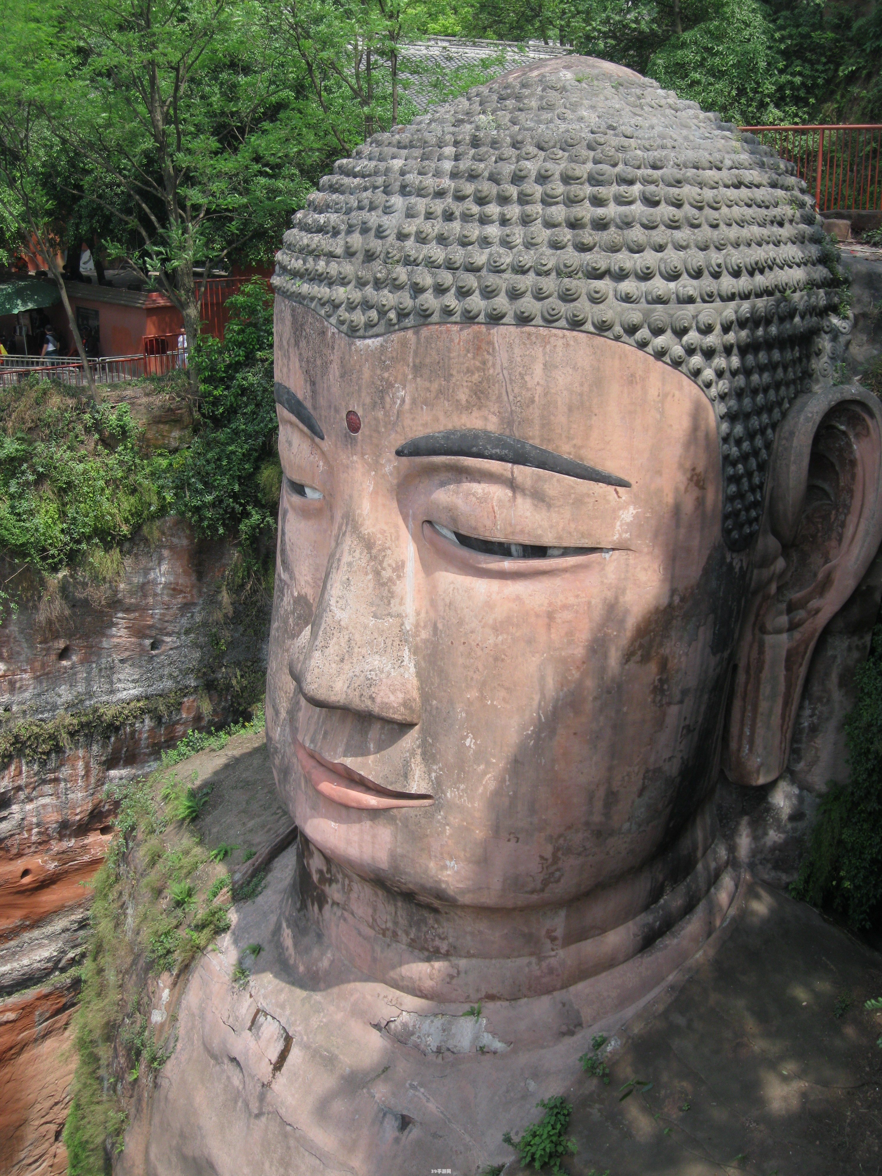 从成都出发，探寻乐山大佛之旅