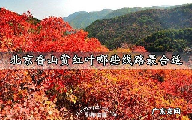 香山红叶最佳观赏时间是什么时间:香山红叶手游攻略：最佳观赏时间及玩法全解析