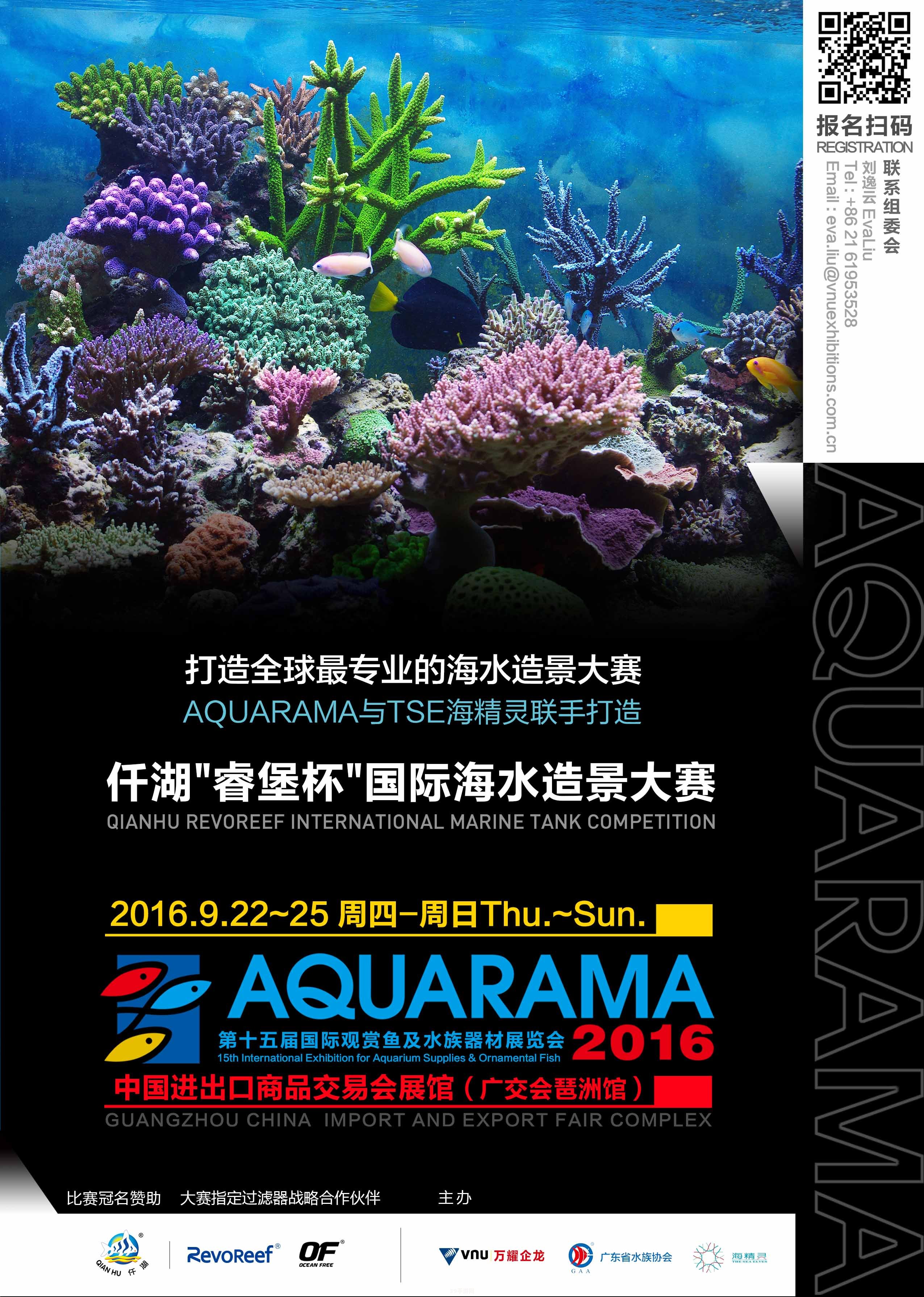 &lt;h1&gt;南美水族论坛揭秘：探索神秘水族世界，打造极致观赏体验&lt;/h1&gt;