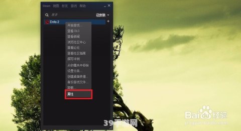 dota2英文配音:Dota2英文配音全解析：领略别样游戏魅力