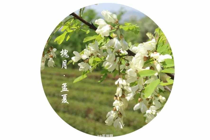 孟夏在古代时令中是指农历几月:孟夏古韵中的手游探秘：农历四月的时光之旅