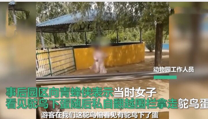 俄罗斯女人与动zozozo:探索俄罗斯风情：与动物共舞的zozozo手游攻略