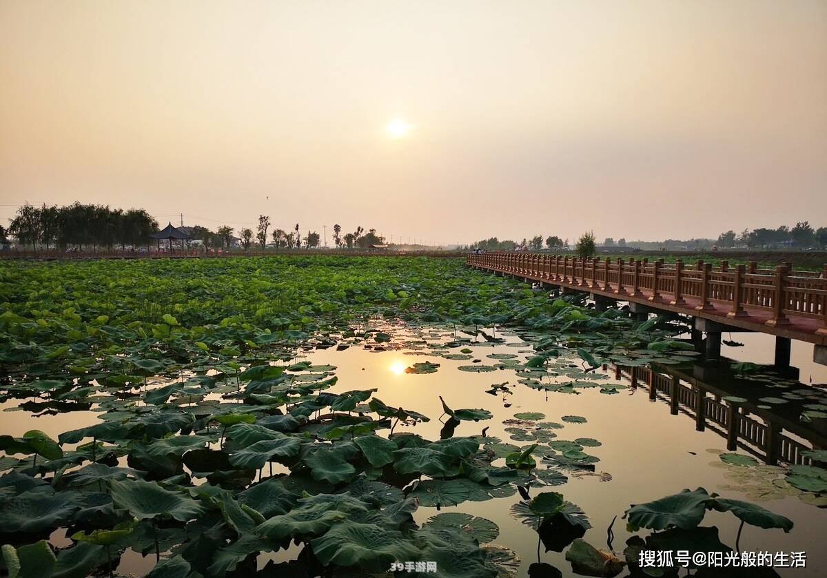 天体战士桑雷德：探索星际，成为宇宙最强战士！