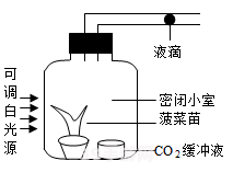 红白绿国旗:红白绿国旗下的荣耀之战：手游国旗争霸攻略