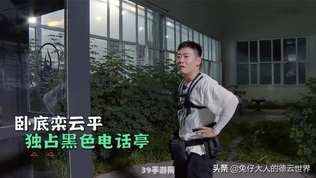 男团乒乓球比赛规则全解析，制胜攻略助你登顶！