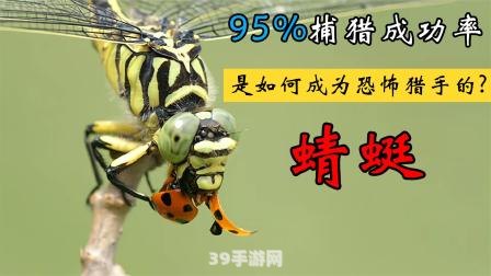 屎可以吃吗?:探索奇趣问题：屎，真的可以吃吗？