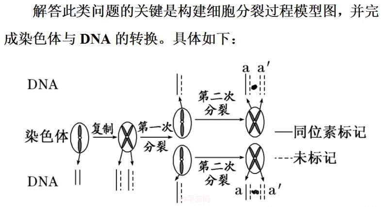 火焰山是今天的:征服火焰山：手游攻略与玩法大揭秘