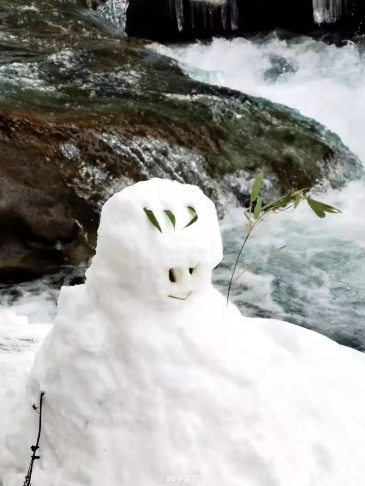 初雪之恋手游：浪漫邂逅与甜蜜攻略