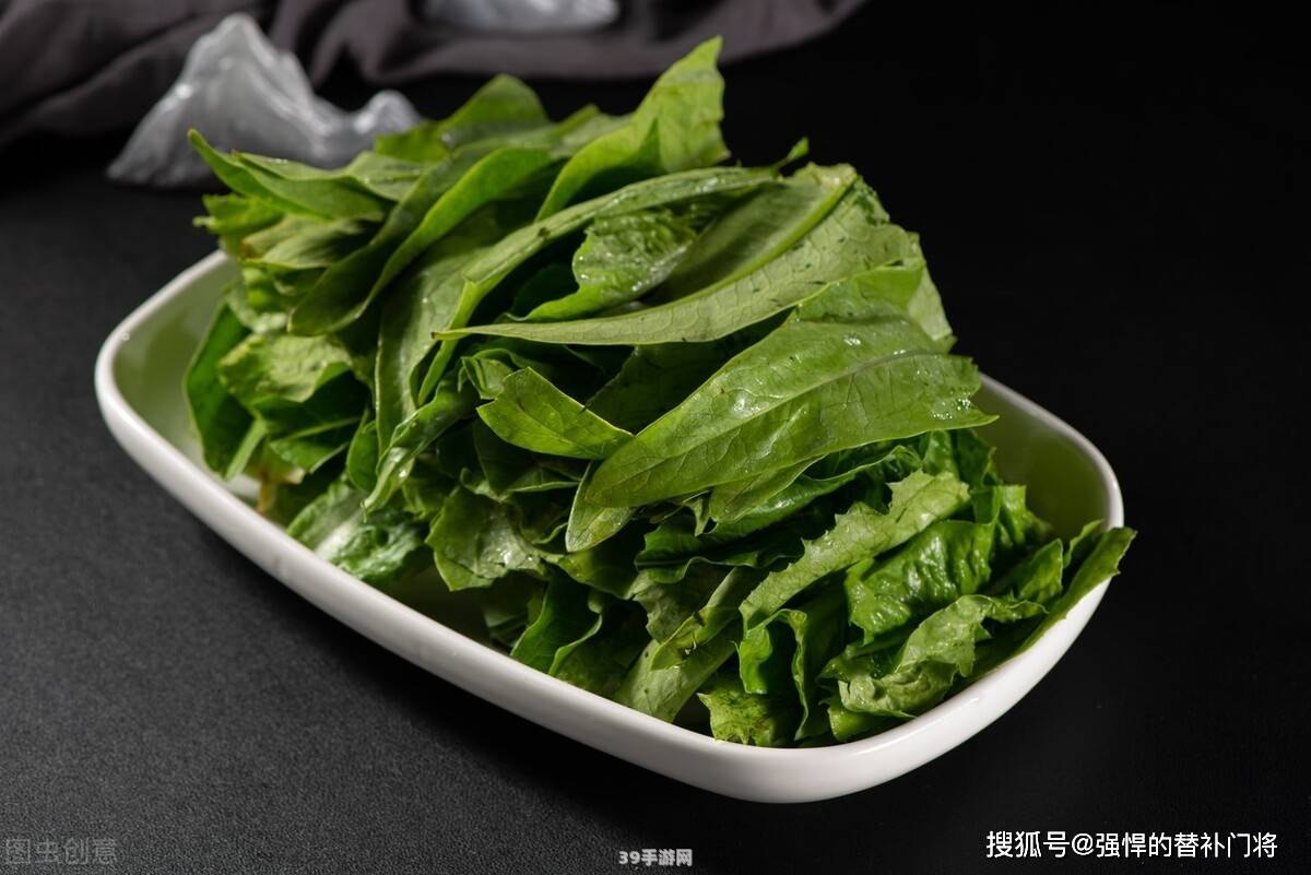 油麦菜和什么菜是亲戚:油麦菜的“亲戚”蔬菜大揭秘