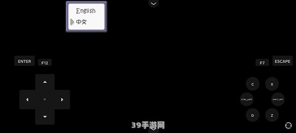 游戏攻略深入解析“Understood”，提升你的游戏理解力