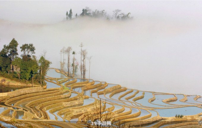 红河哈尼梯田5个申遗重点村落:&lt;h1&gt;探秘红河哈尼梯田，领略申遗村落的独特魅力&lt;/h1&gt;