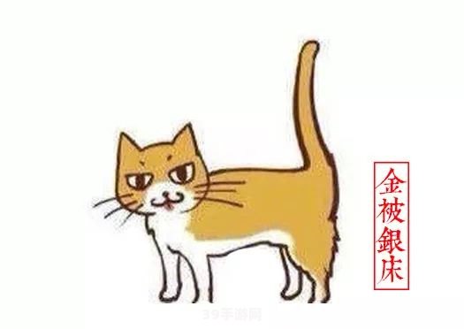 虎纹猫家园游戏攻略：打造你的专属猫咪乐园