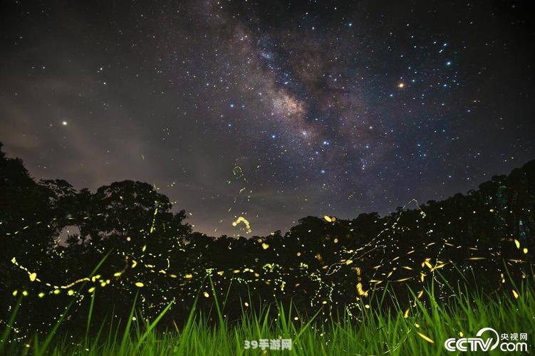 萤火虫打一地名:萤火虫之光：探索神秘地名的游戏之旅