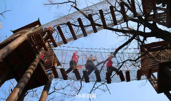 飞跃云端，尽享奢华——飞机商务舱手游攻略