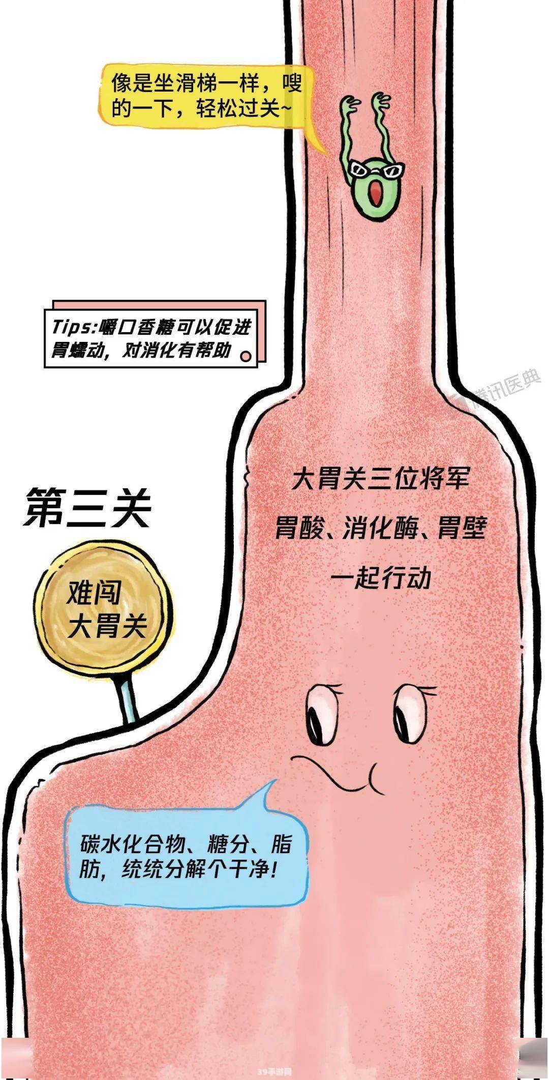 不小心吞下口香糖会粘在肠子里吗:口香糖危机：揭秘吞下后的肠道之旅