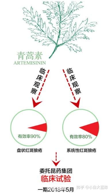 青蒿素是什么植物提取的:青蒿素之源与手游探秘：一场跨越科学与游戏的奇妙旅程