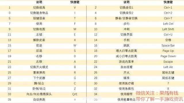 教练Mikasa的游戏攻略秘籍：制胜关键与进阶技巧