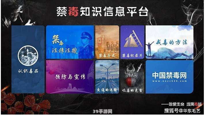 禁毒教育平台：探索虚拟世界，共筑防毒长城