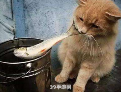 爱拍大山猫:爱拍大山猫游戏攻略：成为顶级猎手的秘诀