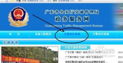 上海交通违章查询系统:上海交通违章查询系统全攻略，让你轻松掌握查询技巧