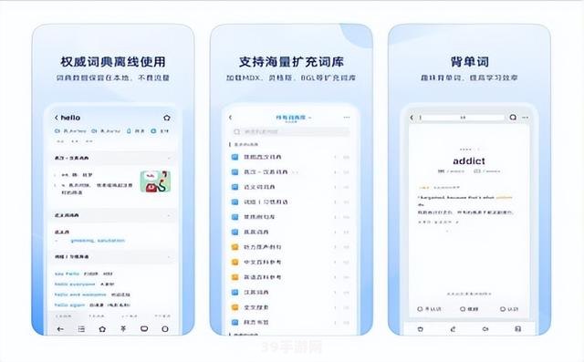有道词典本地版:有道词典本地版助力游戏攻略：解锁新词汇，畅游游戏世界！