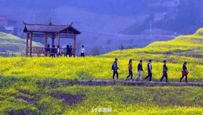 俘虏梨花烟雨手游深度攻略：烟雨江湖，如何成为梨花俘虏？