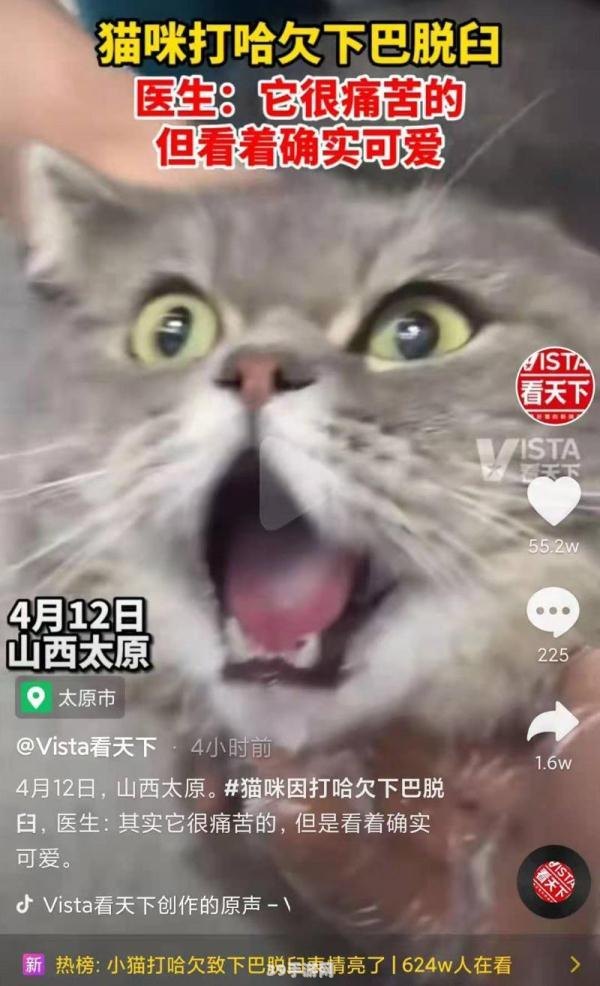 猫咪打哈欠下巴脱臼:&lt;h1&gt;猫咪打哈欠导致下巴脱臼？游戏中如何避免爱宠受伤&lt;/h1&gt;