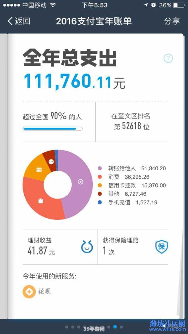 支付宝年账单:支付宝年账单揭秘：你的消费习惯如何影响游戏体验？