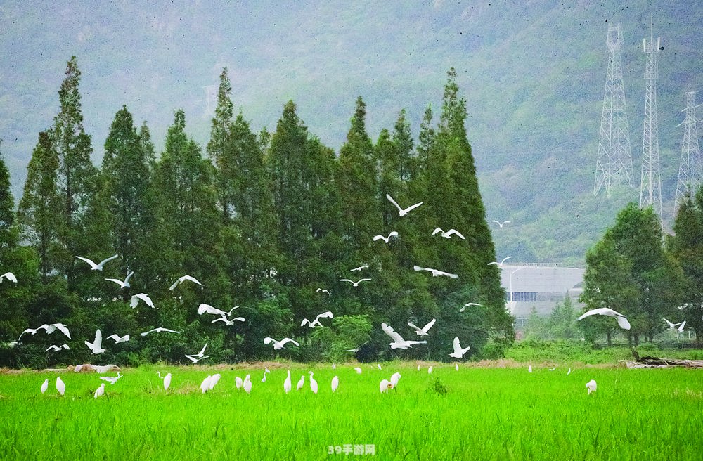 漠漠水田飞白鹭下一句:绿水青山舞白鹭，探寻游戏里的自然秘境