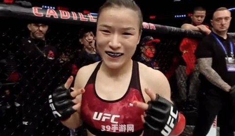 UFC格斗之旅——手游玩法与攻略全解析