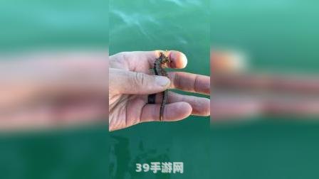 捕鱼游戏排行:&lt;h1&gt;捕鱼游戏排行大揭秘：玩转捕鱼，成为海洋霸主！&lt;/h1&gt;