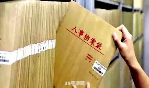 个人档案查询系统:掌握个人档案查询系统，游戏攻略事半功倍