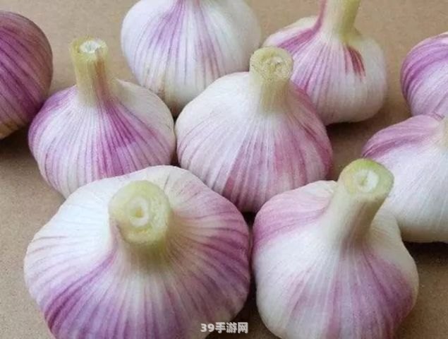 风味独特，腌制秘籍：东北糖蒜制作全攻略