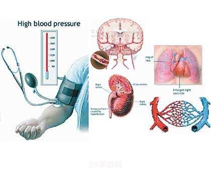 探寻颈动脉窦位置 手游中的医疗知识挑战攻略