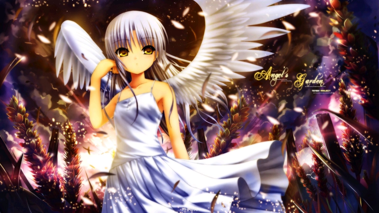 angelbeats壁纸:Angel Beats!手游攻略：探索死后世界，与伙伴共同战斗